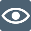 Privacy Policy Icon